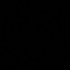 Meet your Posher, Destiny